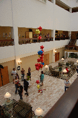 CVG2008
