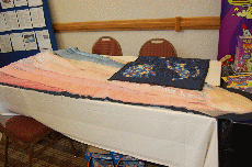 CVG2008
