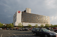CVG2008