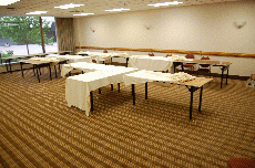 CVG2008