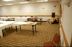 CVG2008