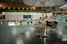 CVG2008