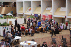 Convergence 2009
