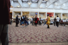 CONvergence 2010