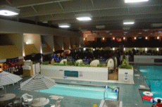 CONvergence 2010