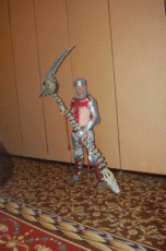 CONvergence 2010