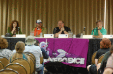CONvergence 2010