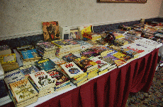 Diversicon 17