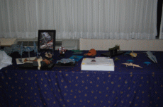 MarsCon 2007