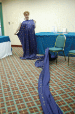 MarsCon 2007