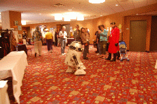 MarsCon 2009