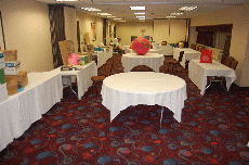 MarsCon 2010
