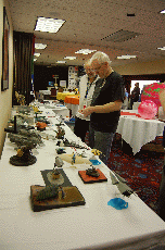 MarsCon 2010