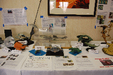 MarsCon 2010