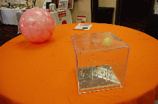 MarsCon 2010