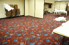MarsCon 2010