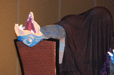 MarsCon 2011
