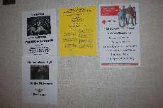MarsCon 2011