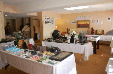 MarsCon 2011