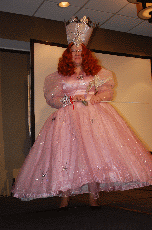 MarsCon 2011