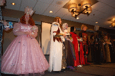 MarsCon 2011