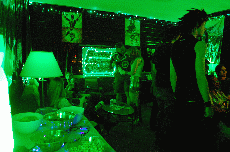 MarsCon 2011