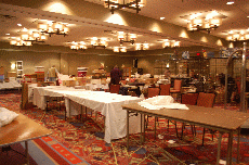MarsCon 2011