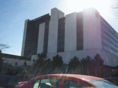 MiniCon 41 