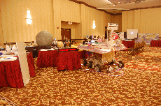 Minicon 45