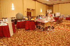 Minicon 45
