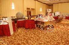 Minicon 45