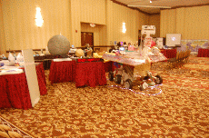 Minicon 45