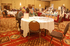 Minicon 45