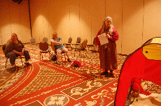 Minicon 45