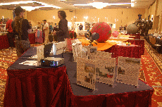 Minicon 45