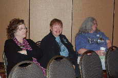 Minicon 45