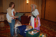 Minicon 45