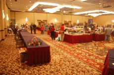 Minicon 45