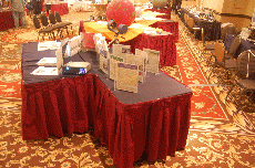 Minicon 45