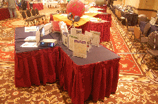 Minicon 45