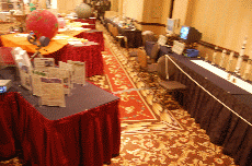 Minicon 45