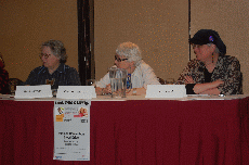 Minicon 45